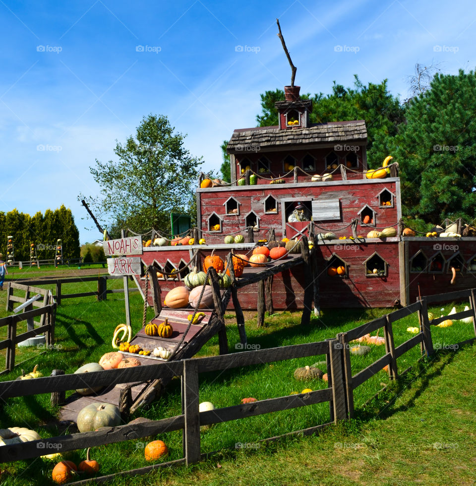 Squash display at a local pumpkin patch in the fall