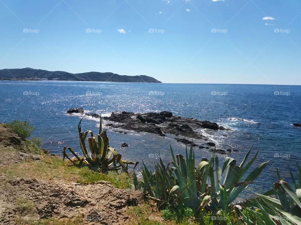 coast