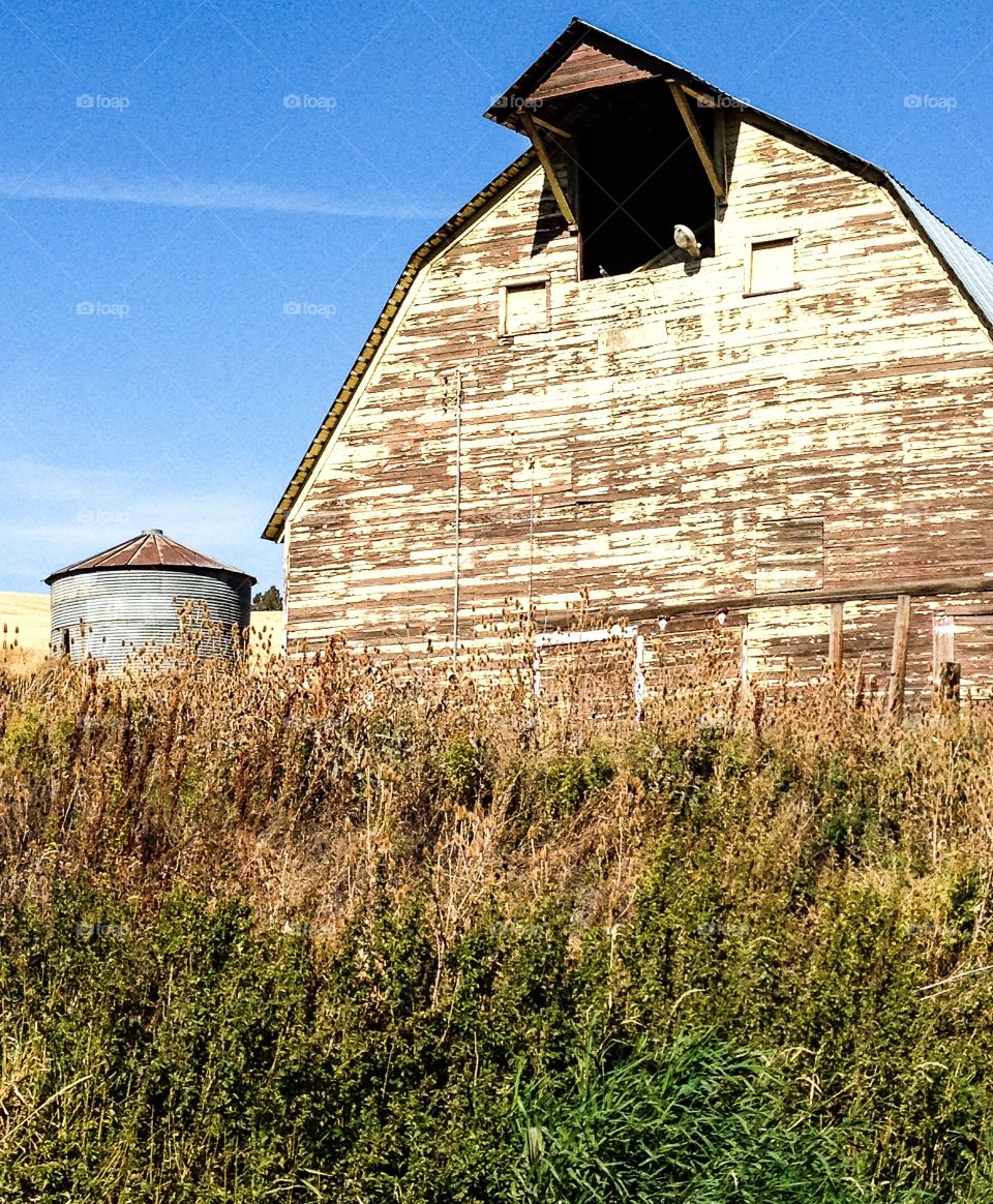 No Person, Barn, Farm, Building, Outdoors