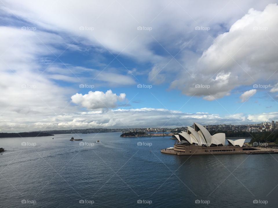 Sydney Harbor 