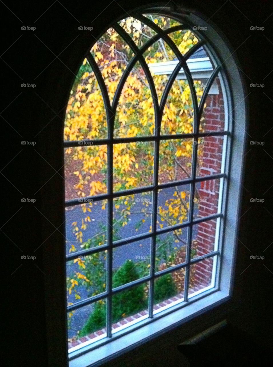 Autumn Window 