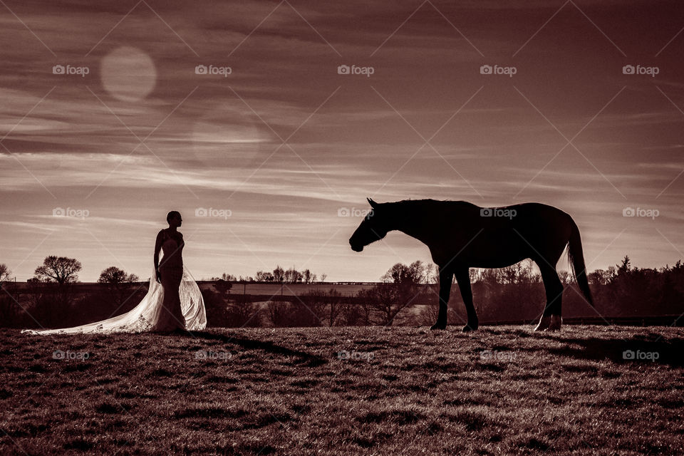 Bride and horse meet. Silhouette taken of horse and women in wedding dress. taken on the brow of a hill in a Derbyshire field.