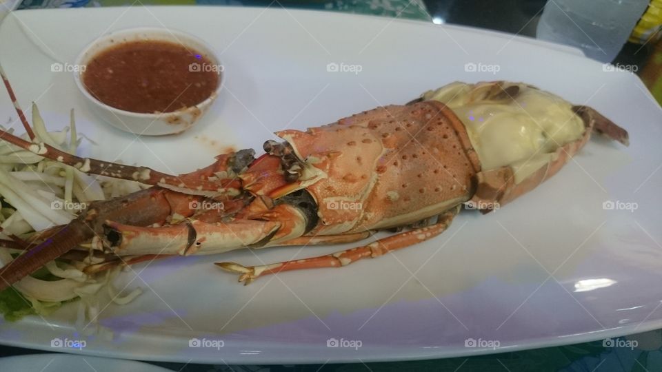 lobster  seafood