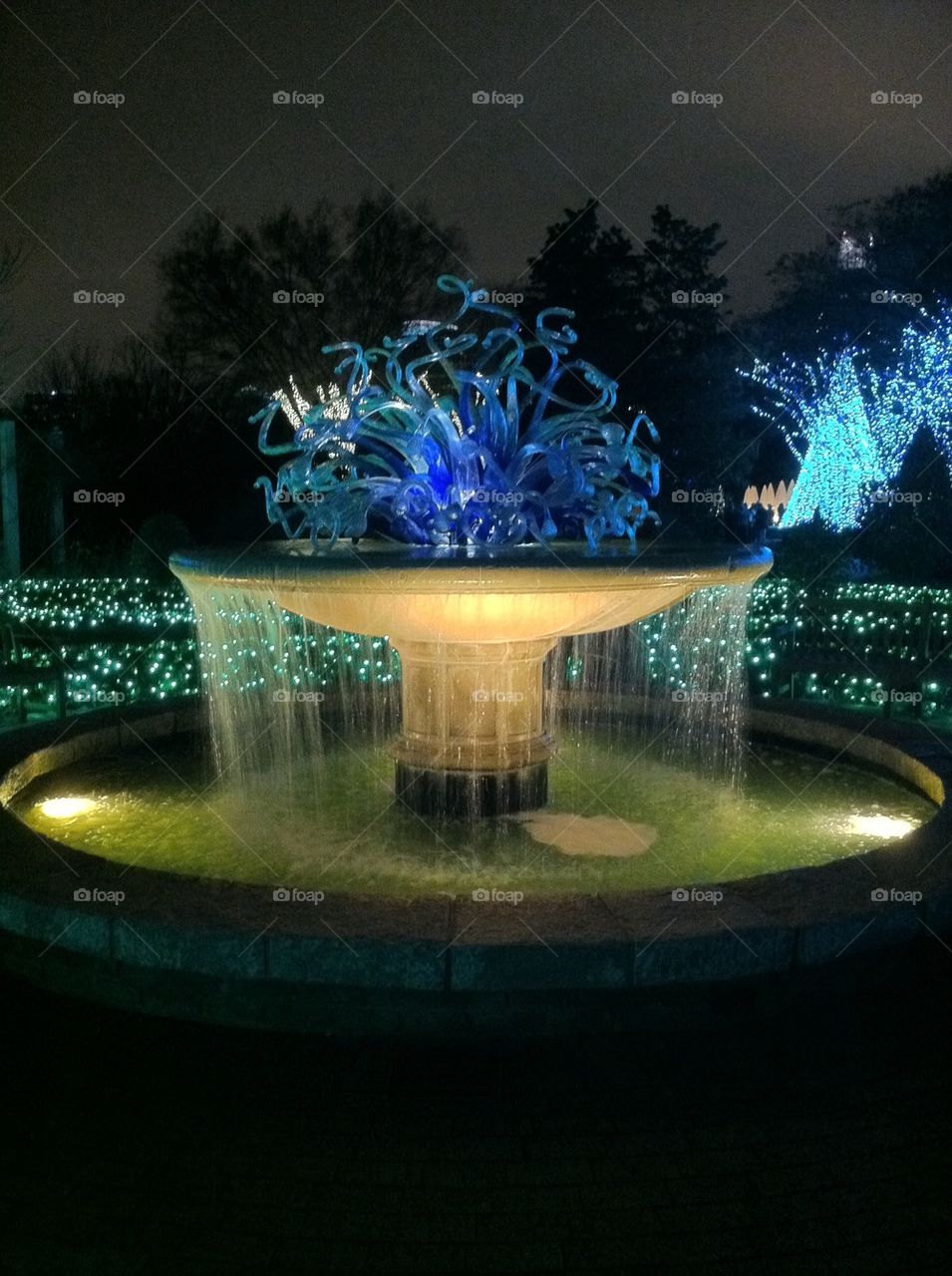 Night Fountain 