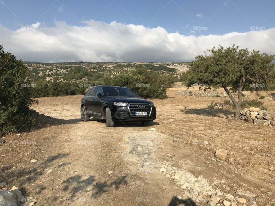 Audi quttro 