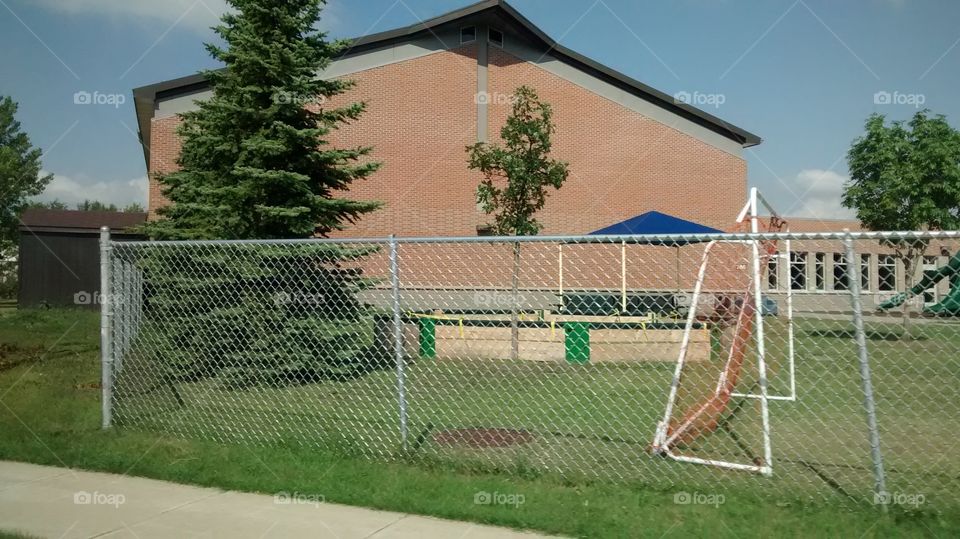 Fence, Field, Recreation, Grass, Lawn