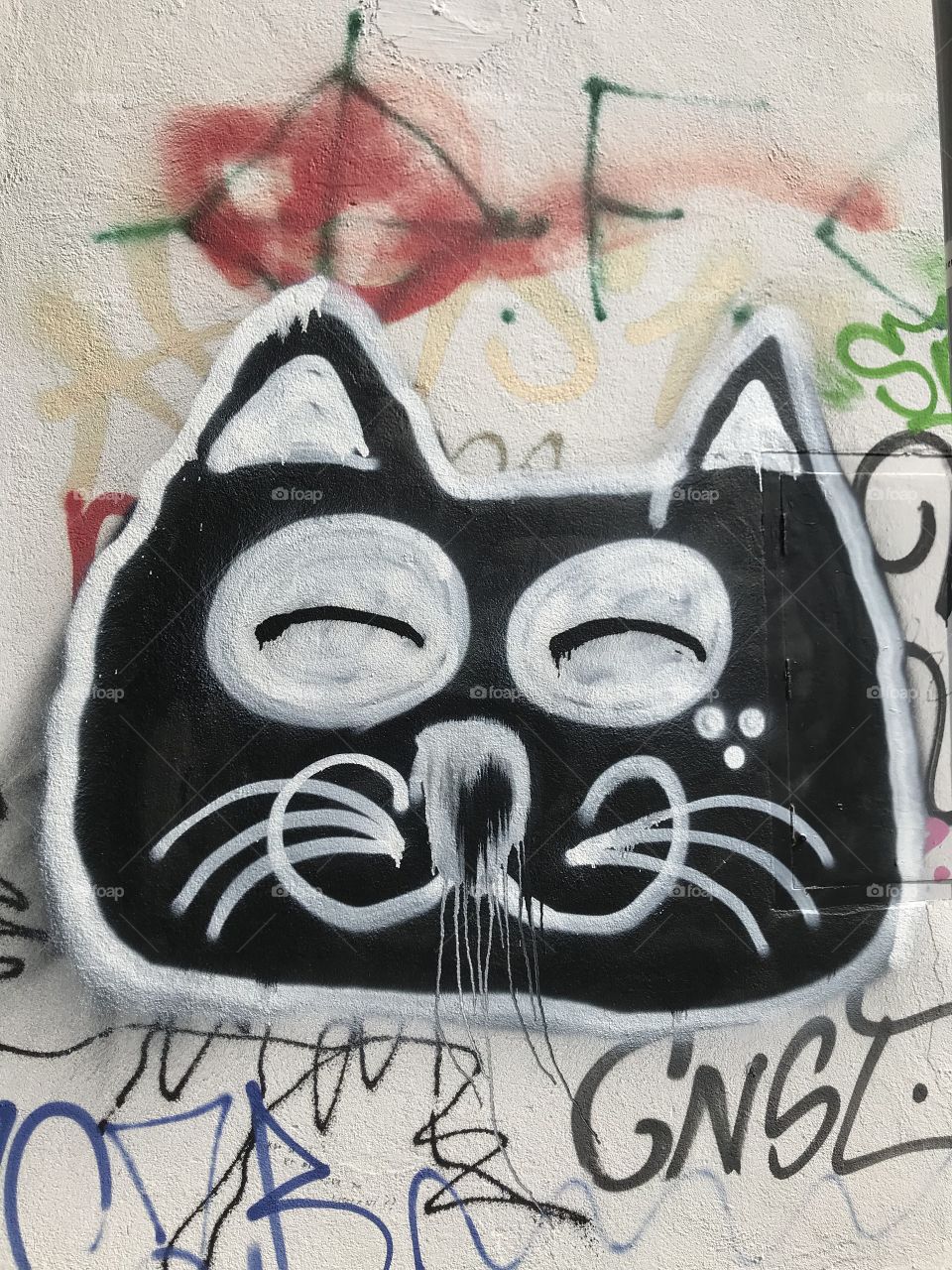 Graffiti cat