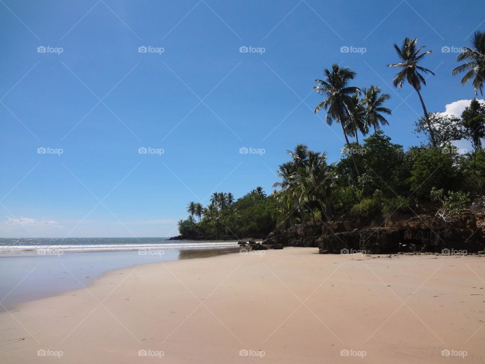 Tropical beach in Brazil with no people, palm trees and a blue sky