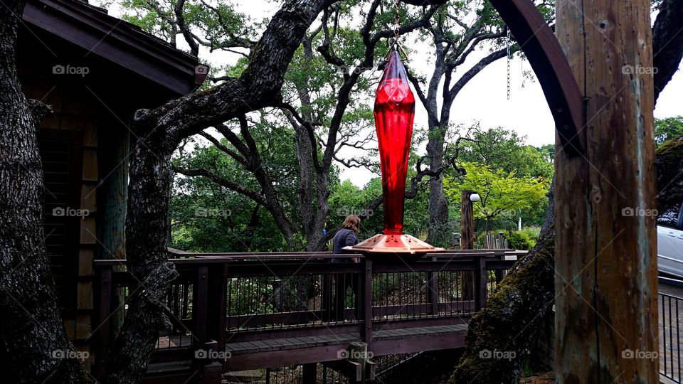 Hummingbird Feeder. Hummingbird Feeder adds some color to a rainy Spring Day.