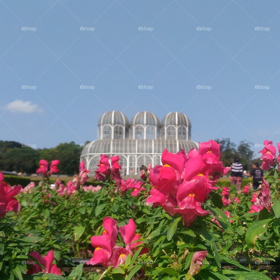 Curitiba ponto turístico