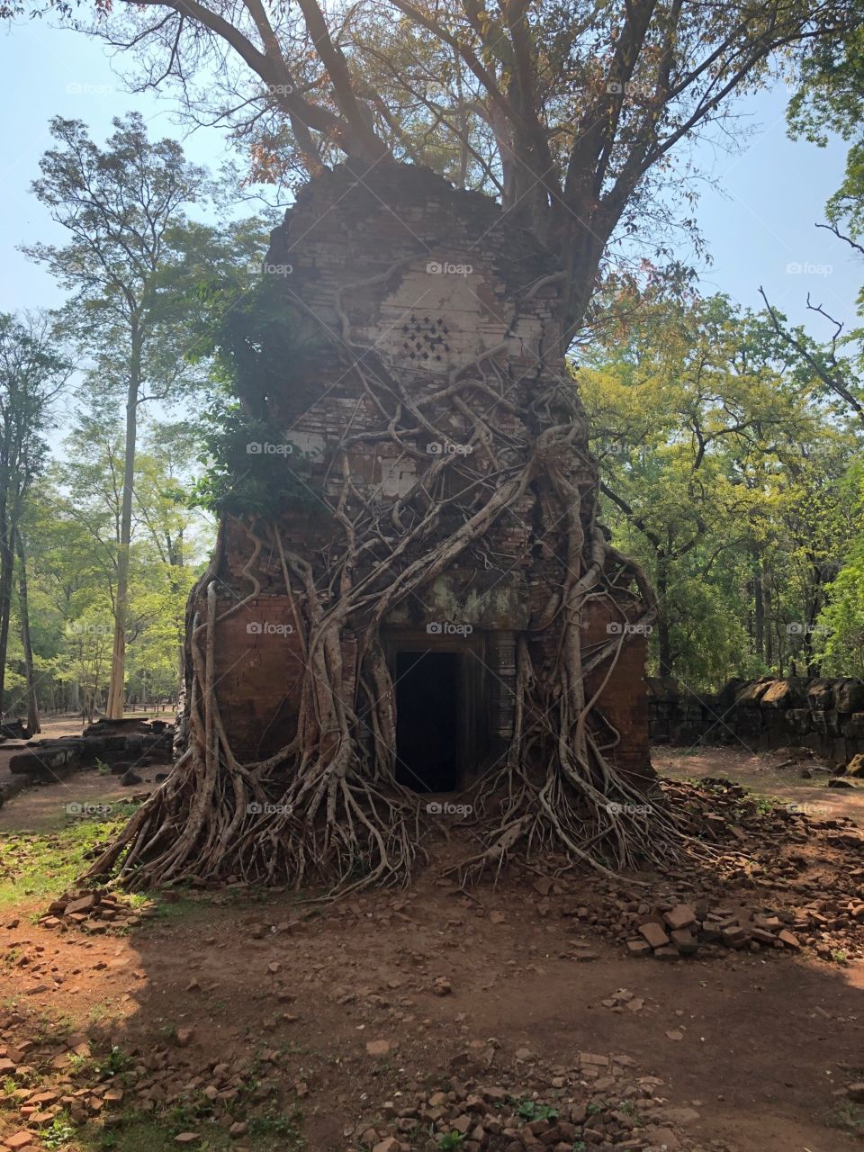 Cambodia Ruins 