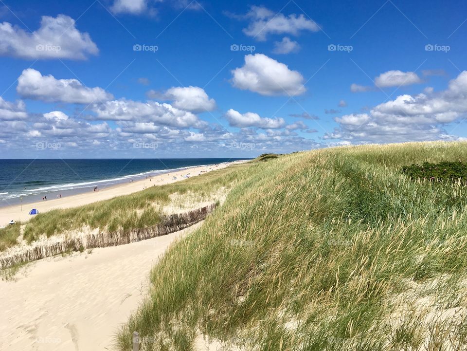 Sylt.North Sea 