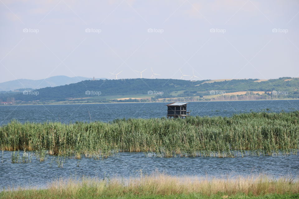 By the lake in June 