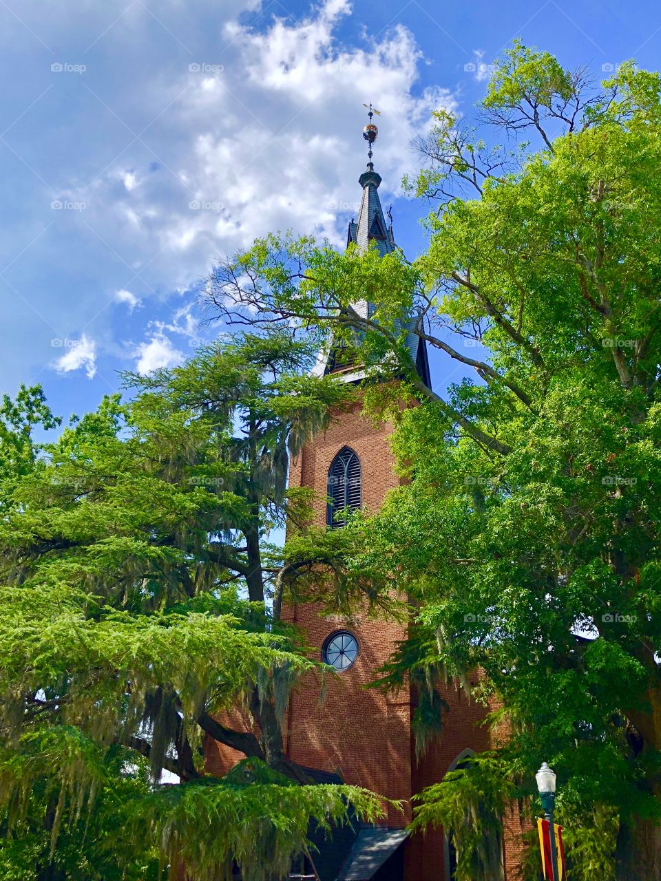 Church tower covered by trees