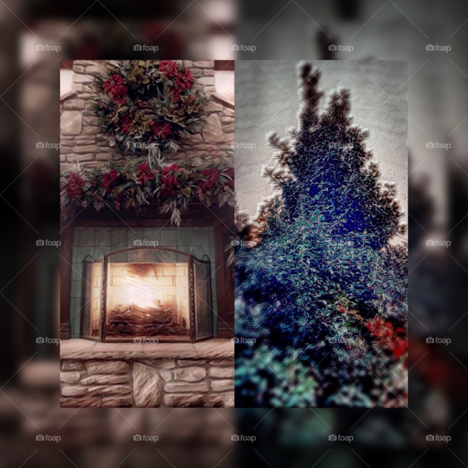 Fire Place, Holly Tree, Holiday, Landscape 