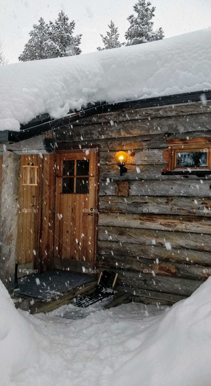 Getting covered by snow