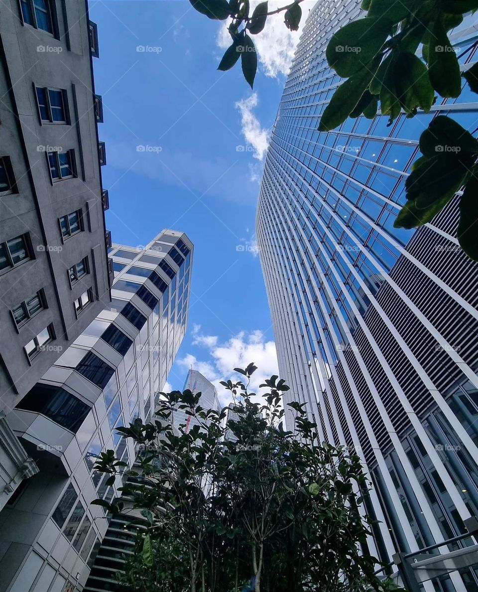 London buildings, Sky Garden, skyscrapers, England