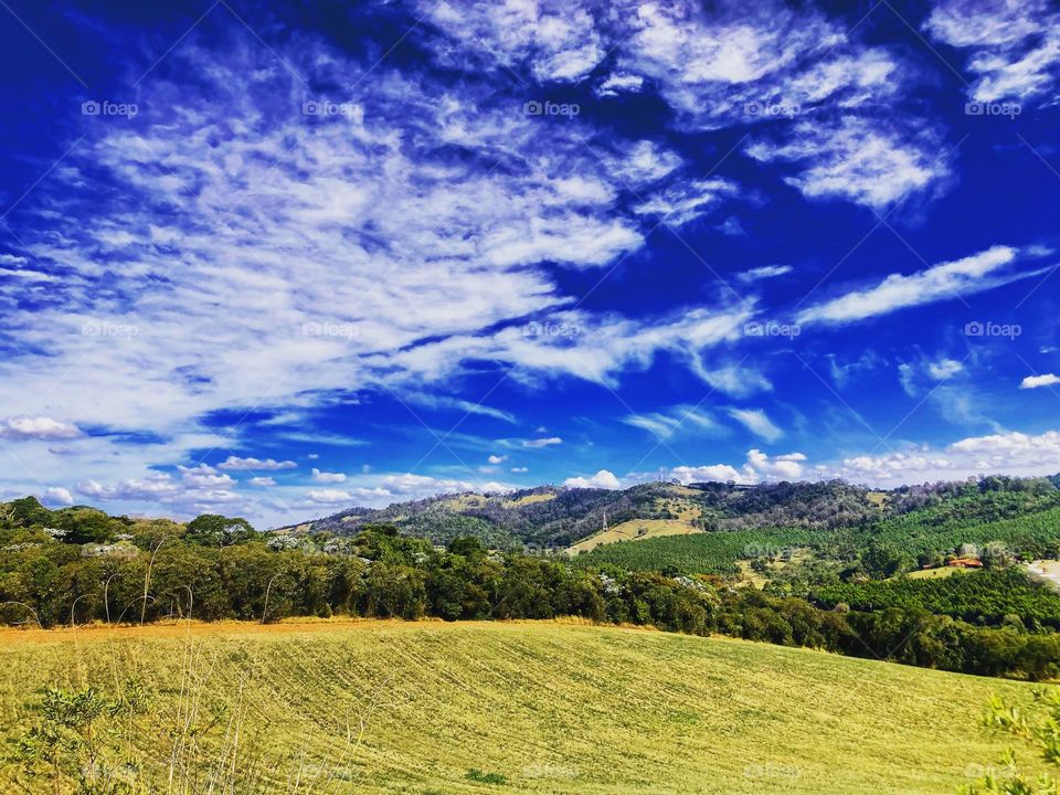 🇺🇸 Blue and green go well together, don't they? Experience nature and its beauty (Bragança Paulista, Brazil). / 🇧🇷 O azul e o verde combinam demais, não? Viva a natureza e a sua beleza (Bragança Paulista, Brasil).