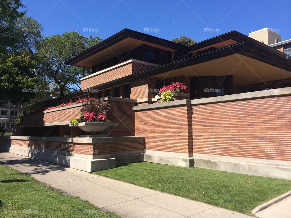 Frank Lloyd Wright Robie house
