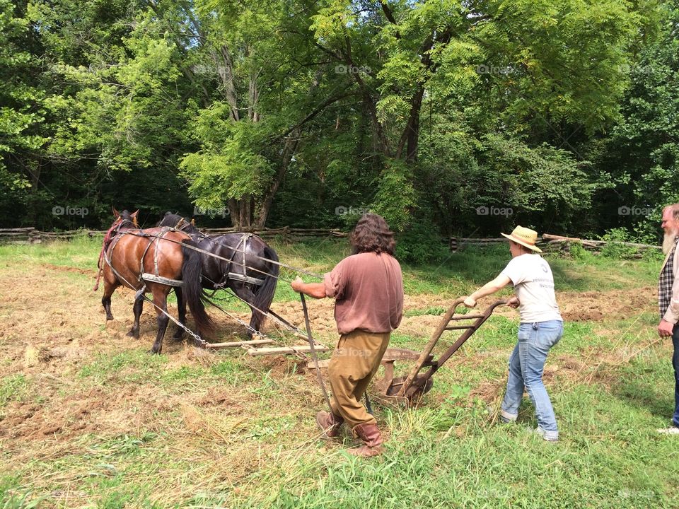 Old frontier plowing