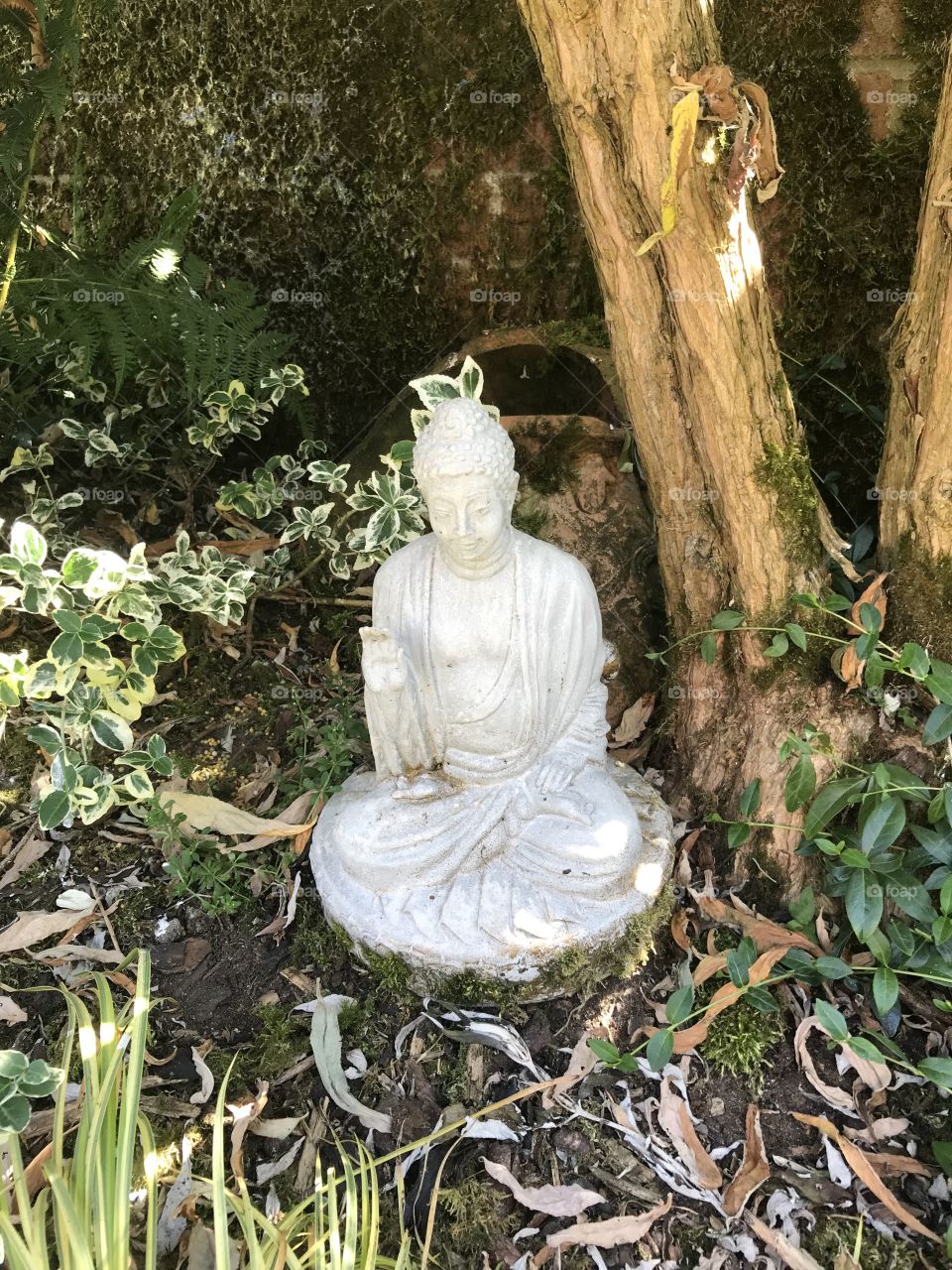 Buddha statue watching over a garden.