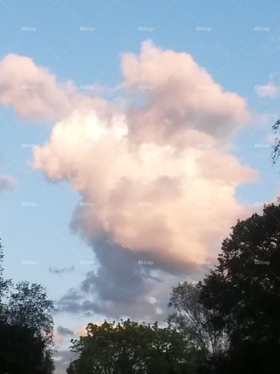 monster cloud 