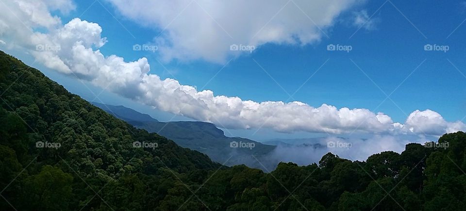 beautiful nature. Doi Inthanon National Park . is the highest peak in Thailand, and the national park that surrounds it is filled.