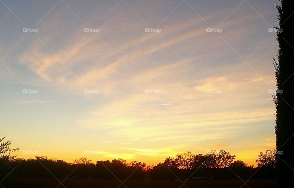 Sweeping Sunset Cloud