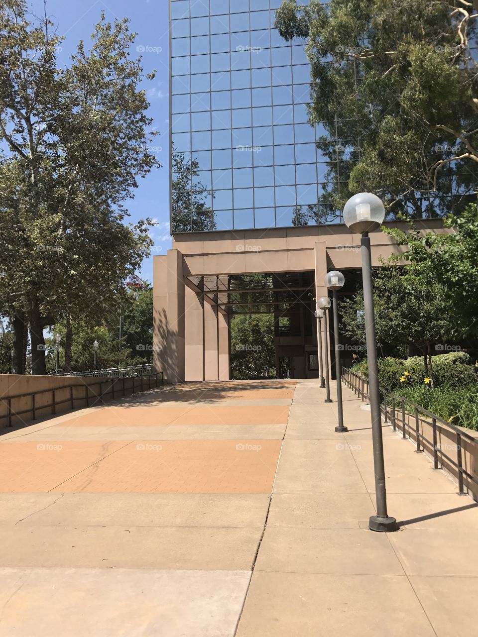 Anaheim ca city hall