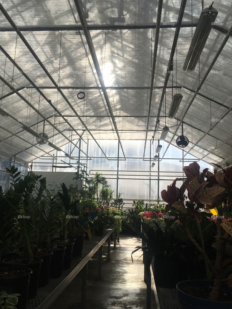 A green house located in Humber College.