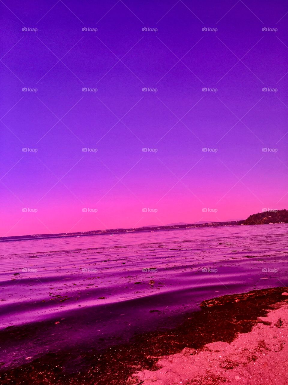 Through Rose Colored Glasses 