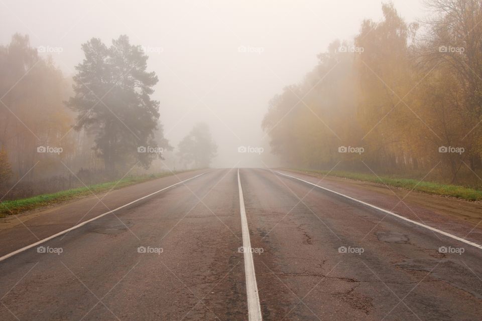 Road through the fog