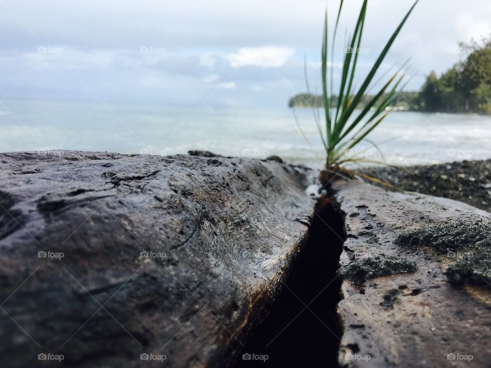 Water, Landscape, No Person, Beach, Nature