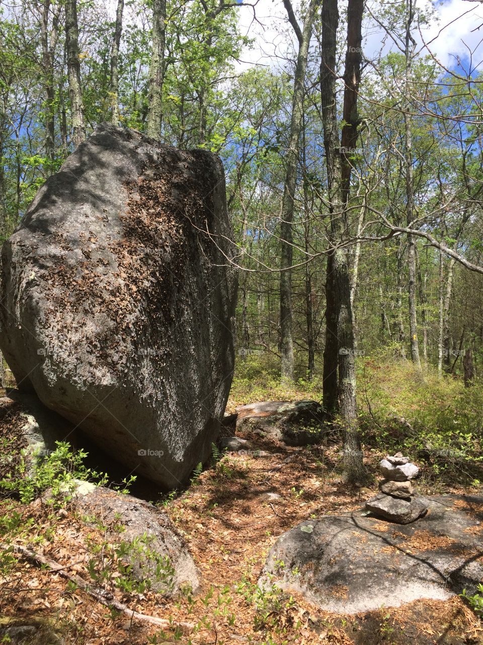 Large boulder in forest