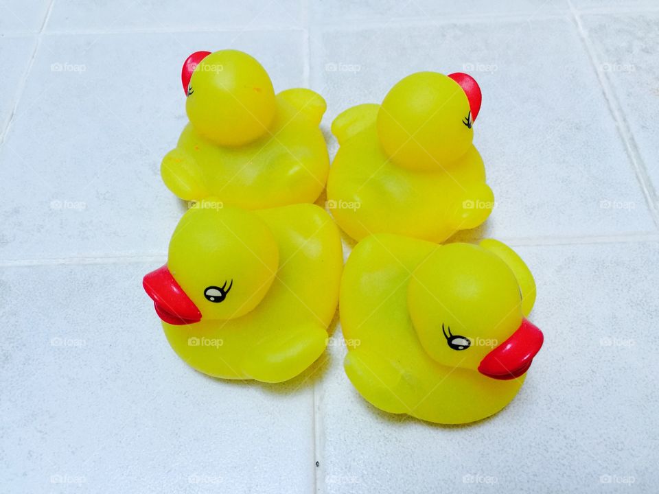 My ducks