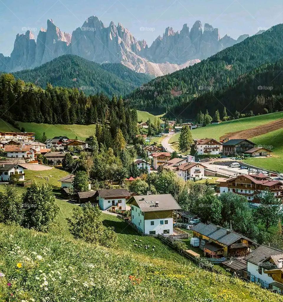 Glory be to God, the magnificent and picturesque view and the natural green trees are a view that is nothing more wonderful than it