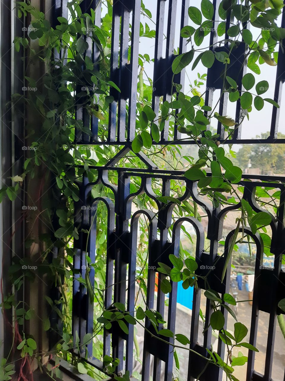 nature is a blessing for everyone 🙏