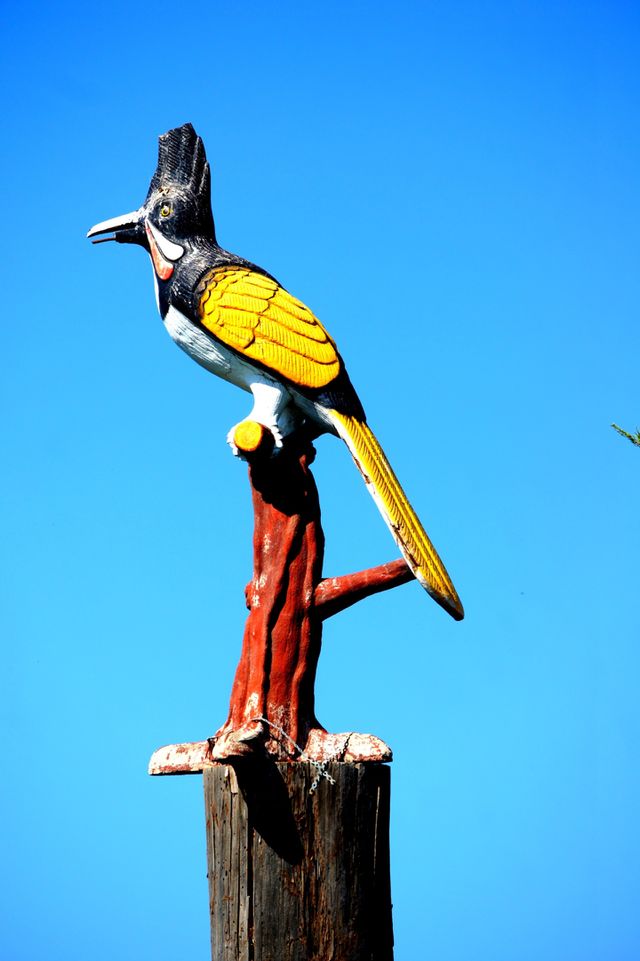 Woody . Taken at Paphos zoo Cyprus 
