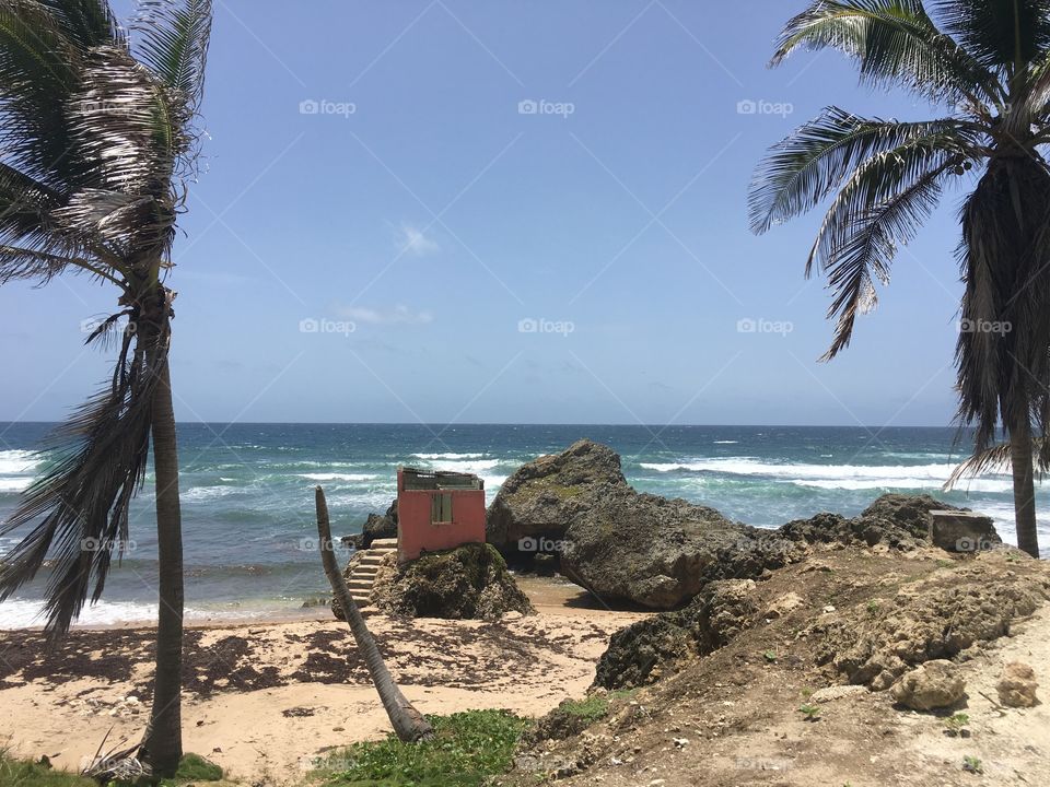 Bathsheba Barbados Atlantic ruins 