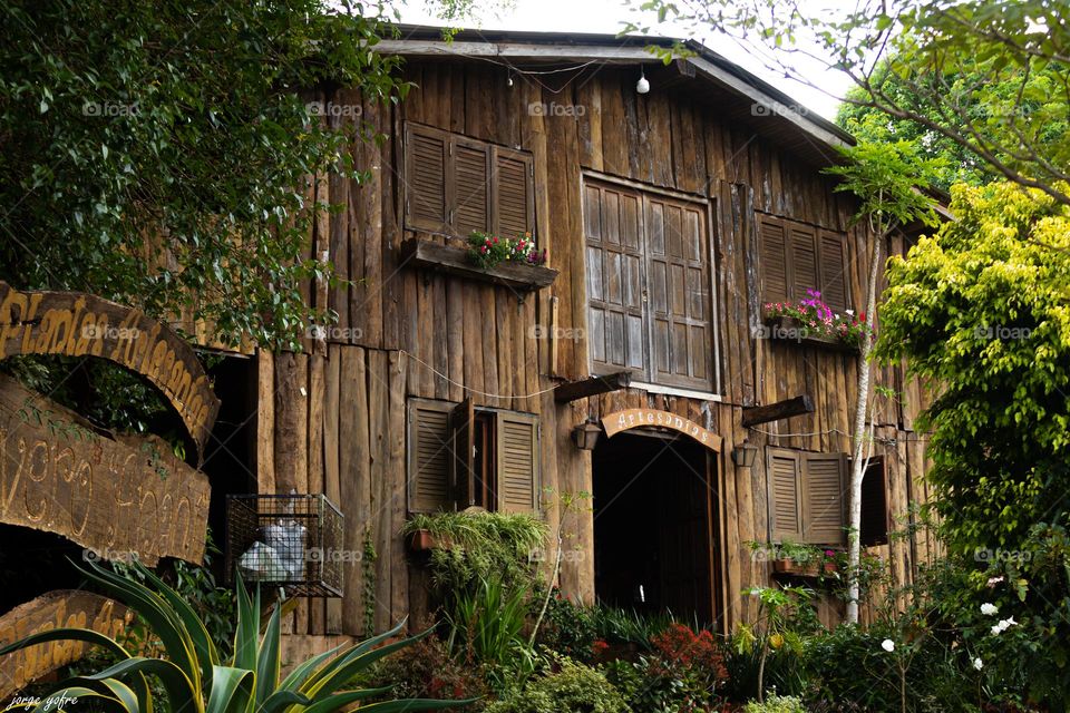 vivero del litoral