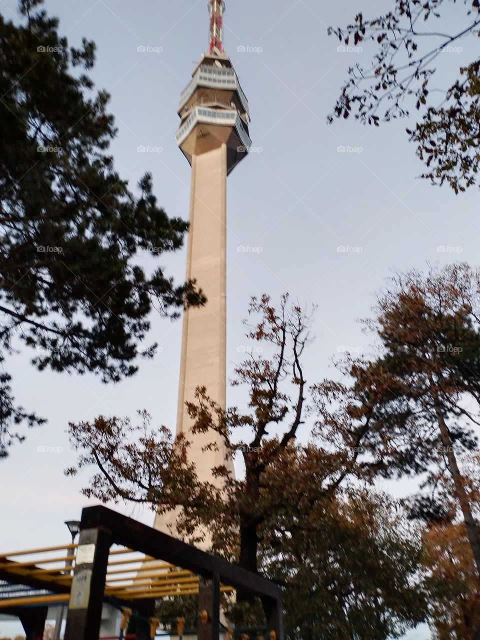 View from the ground