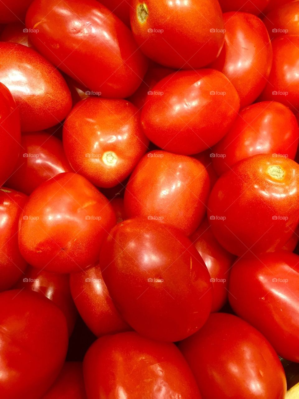 Red Red Tomatoes