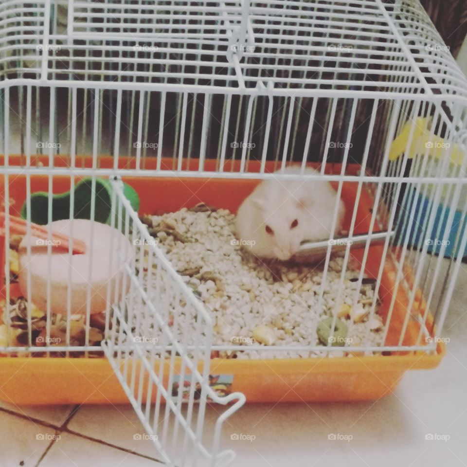 Custodio and his breakfast