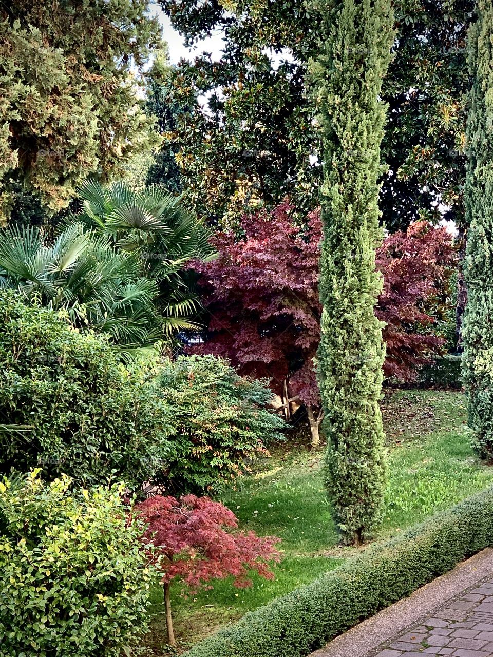Nature abounds with colorful plants in a garden