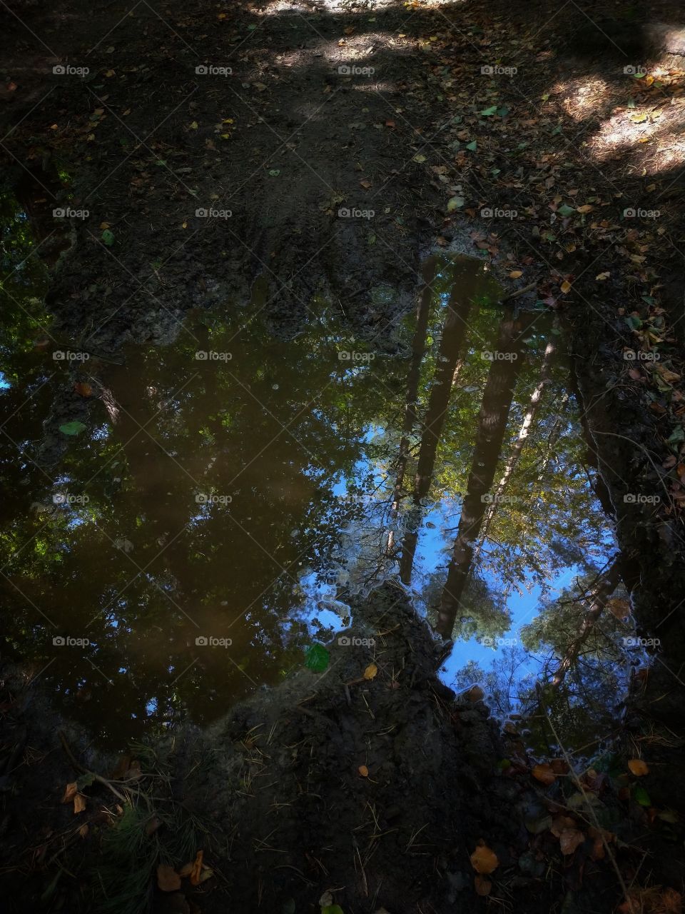 Trojmorski Park Krajobrazowy