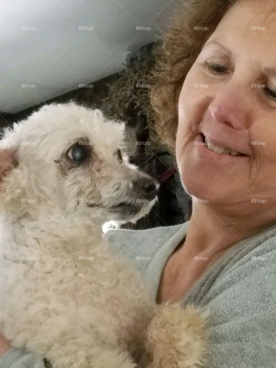 White poodle held by person who rescued him from abuse. Loving a dog being held, feeling safe🐾💞
