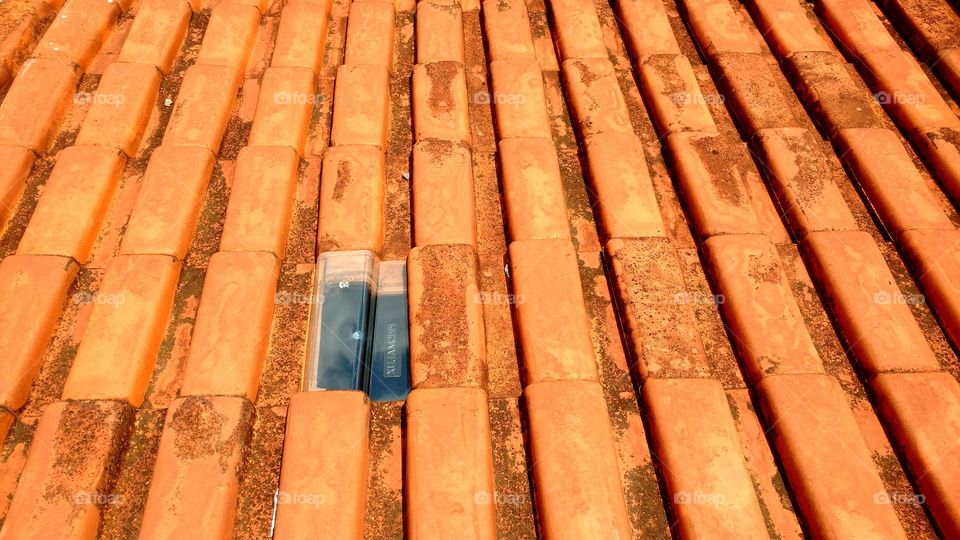 Iluminação natural. Telhado com telha transparente de plástico.