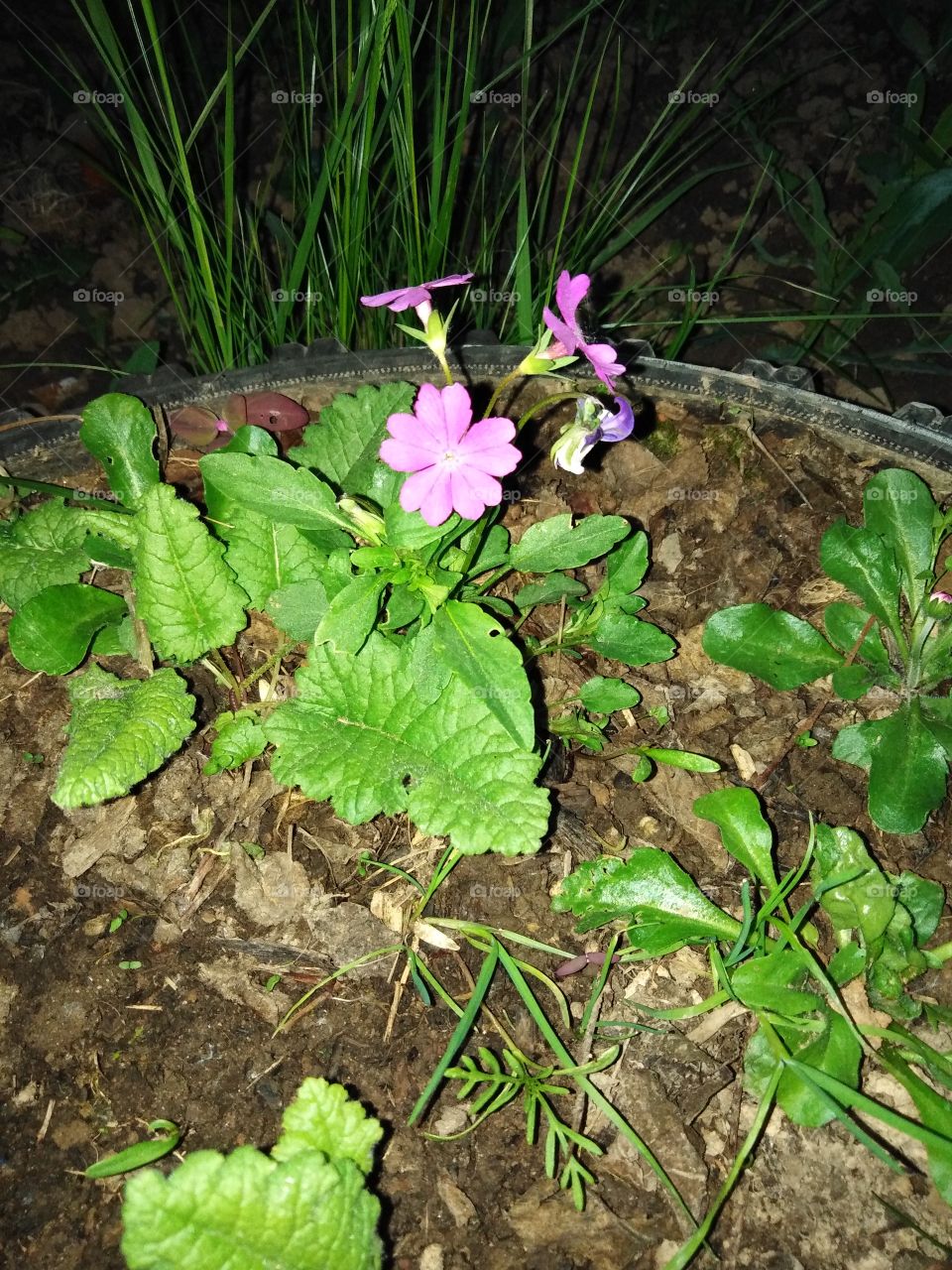 Любимые цвета