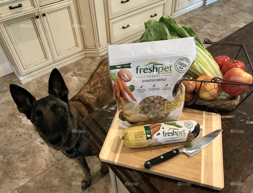Waiting for Freshpet Select dinner. All natural. Real food. Healthy choices for dogs and and cats. 