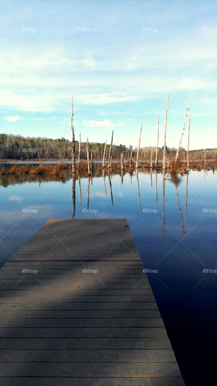 wetlands dock